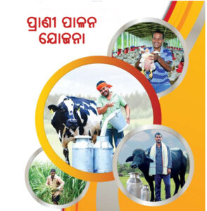 ପ୍ରାଣୀ ପାଳନ ଯୋଜନା
